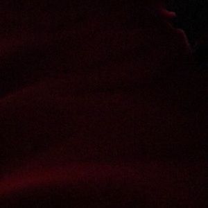 Meet your Posher, Chase